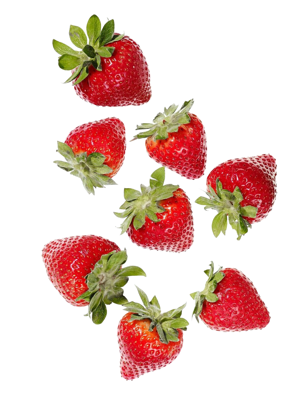 Social Media Strategy & Content Creation